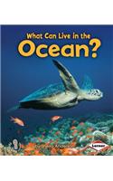 What Can Live in the Ocean?: (First Step Nonfiction — Animal Adaptations)