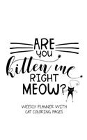 Are You Kitten Me Right Meow? Weekly Planner With Cat Coloring Pages
