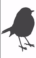 Bird Watching Log - Journal: 160 Pages of Notes for your Life List including Camera and Photography Information