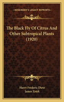 The Black Fly Of Citrus And Other Subtropical Plants (1920)