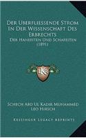 Der Uberfliessende Strom In Der Wissenschaft Des Erbrechts