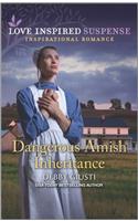 Dangerous Amish Inheritance