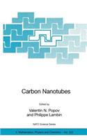 Carbon Nanotubes: From Basic Research to Nanotechnology