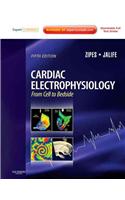 Cardiac Electrophysiology: From Cell to Bedside