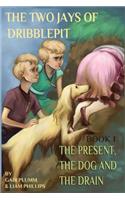 The Two Jays of Dribblepit: Book 1: The Present, the Dog and the Drain(1 The Two Jays of Dribblepit)