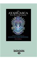 The Ayahuasca Test Pilot's Handbook