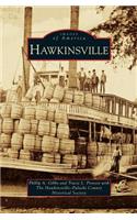 Hawkinsville