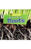 A Look at Roots