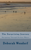 The Surprising Journey: Navigating Through Perilous Waters(English)
