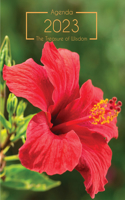 Treasure of Wisdom - 2023 Daily Agenda - Hibiscus