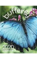 Butterfly 2020 Calendar (UK Edition)