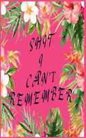Shit I Can't Remember
