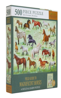 Field Guide to Magnificent Horses