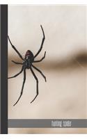 Hunting spider