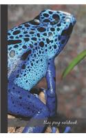 blue frog notebook