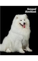 Samoyed Sketchbook: Sammy - Unlined Notebook 150 Blank Pages 8.5 x 11 in. - Sketchbook - Multi-Purpose - Unruled Journal - Plain Diary - Agenda - Composition Book - Dra