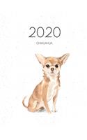 2020 Chihuahua: Dated Weekly Planner With To Do Notes & Dog Quotes - Chihuahua