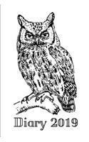 Diary 2019: Colour Your Own Owl Cover