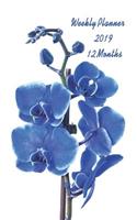 Weekly Planner 2019 12 Months: January 2019 - December 2019, 1 Year, Daily Weekly Monthly Organizer. Compact Size. Blue Orchid Flower Theme on Cover.
