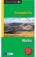 Pathfinder Snowdonia