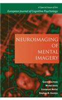 Neuroimaging of Mental Imagery