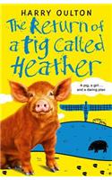 The Return of a Pig Called Heather