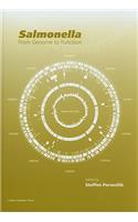 Salmonella: From Genome to Function