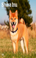 2025 Plastic-Free Shiba Inu Calendar