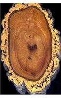 Cross Section of a Cork Oak Tree Journal: Take Notes, Write Down Memories in this 150 Page Lined Journal