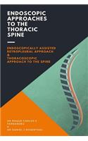 Endoscopic Approaches to the Thoracic Spine