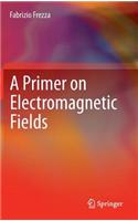 A Primer on Electromagnetic Fields