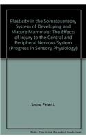 Plasticity in the Somatosensory System of Developing and Mature Mammals