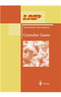 Granular Gases