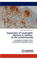 Expression of Neutrophil Elastase in Relation to the Autoimmunity