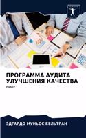 ПРОГРАММА АУДИТА УЛУЧШЕНИЯ КАЧЕСТВА