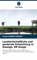 Landwirtschaftliche und pastorale Entwicklung in Kwango, DR Kongo