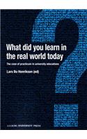 What Did You Learn in the Real World Today?