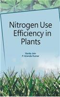 Nitrogen Use Efficiency in Plants