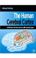 The Human Cerebral Cortex