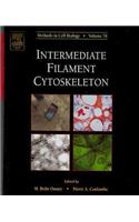 Intermediate Filament Cytoskeleton