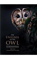 Enigma of the Owl