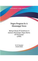 Negro Progress In A Mississippi Town