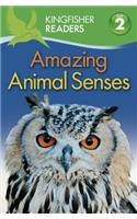 Amazing Animal Senses
