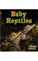 Baby Reptiles: (Its Fun to Learn About Baby Animals)
