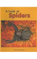 A Look at Spiders: (Pair-It Books: Early Fluency: Stage 3)