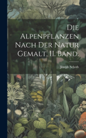 Alpenpflanzen nach der Natur gemalt, II. Band.