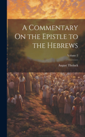 Commentary On the Epistle to the Hebrews; Volume 2