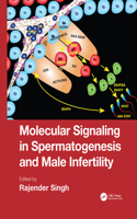 Molecular Signaling in Spermatogenesis and Male Infertility