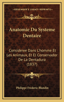 Anatomie Du Systeme Dentaire: Consideree Dans L'homme Et Les Animaux, Et El Conservador De La Dentadura (1837)