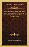 Bluthen Und Fruchte Aus Dem Leben Eines Evgelischen Seelforgers (1851)